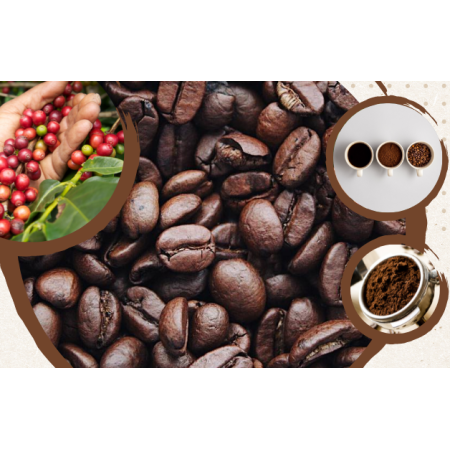 CƠ SỞ SẢN XUẤT - PHÂN PHỐI SỈ LẺ CÀ PHÊ TẠI PHÚ YÊN